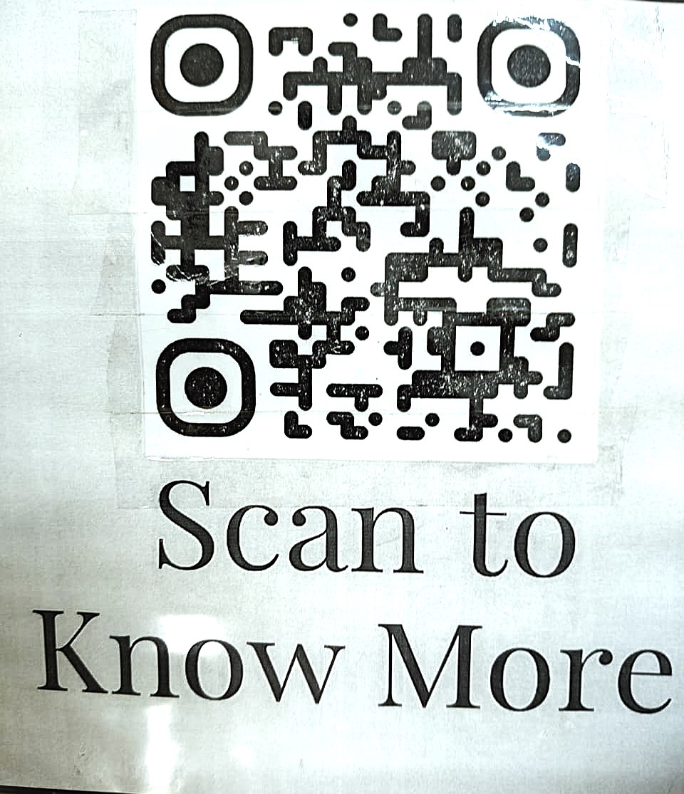 Our Website QR code (This Website only)