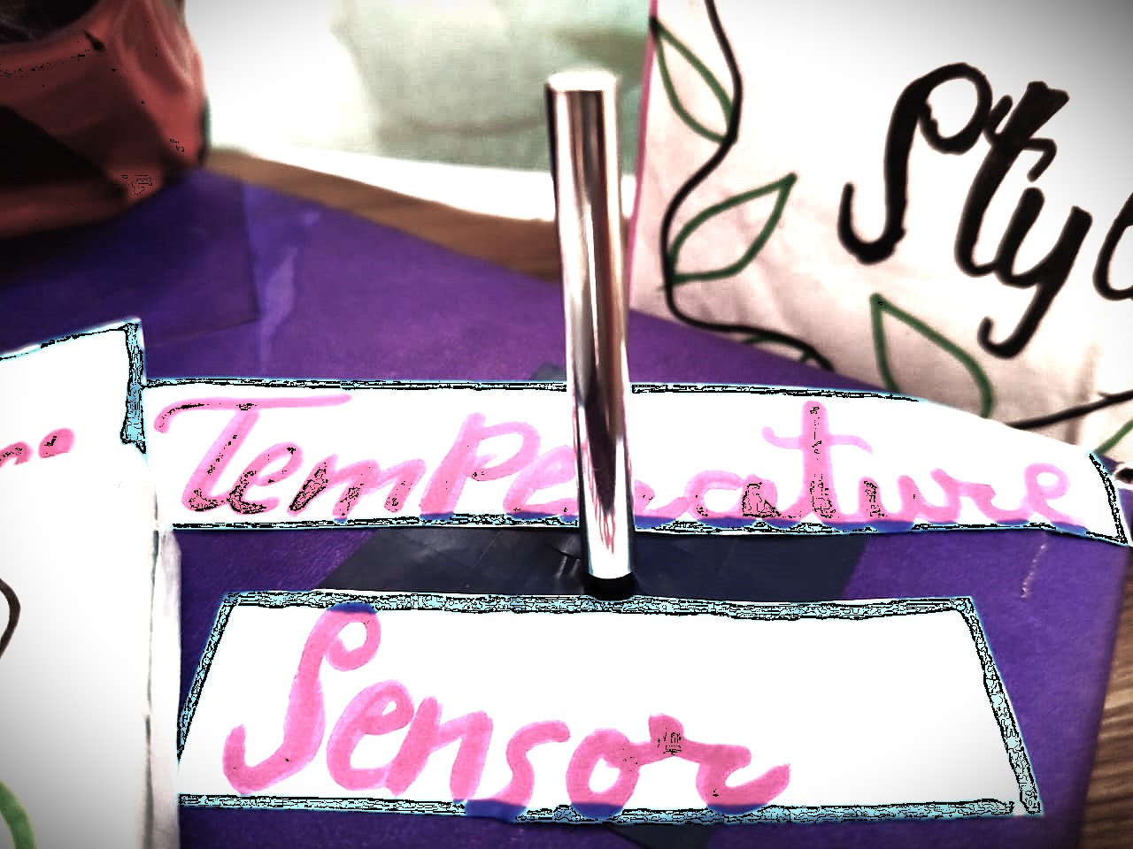 Temperature sensor (for measuring the temperature)